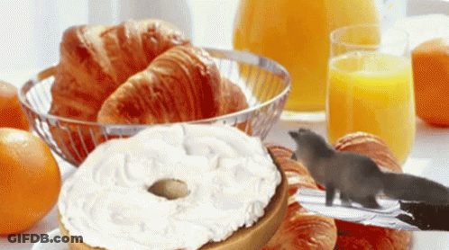 Bagel With Cream Cheese And Squirrel On Knife GIF