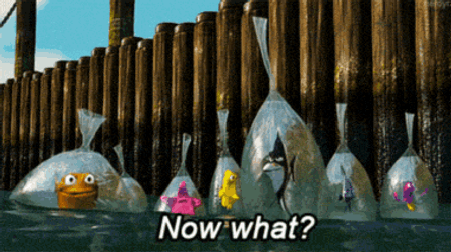 Bags Floating Fish Meme GIF