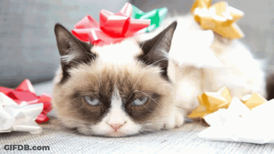 Bah Humbug Grumpy Kitty GIF