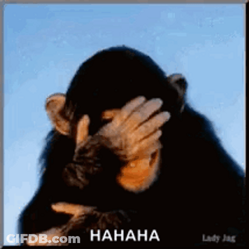 Bahahaha Hilarious Monkey Laughing GIF
