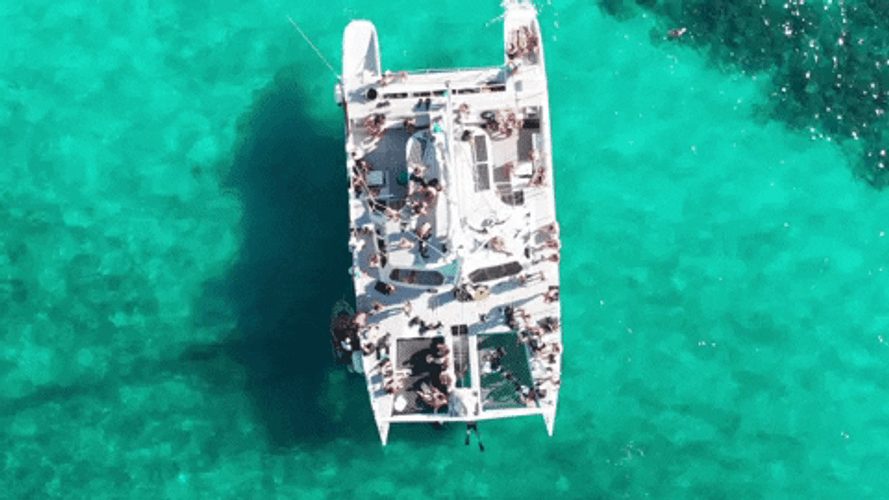 Bahamas Yacht Party GIF