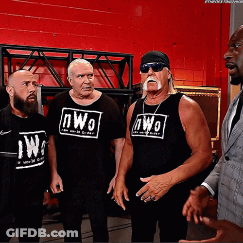 Bailey Interrupts Razor Ramon And NWO GIF