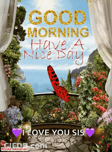 Balcony Flowers Butterfly Good Morning GIF