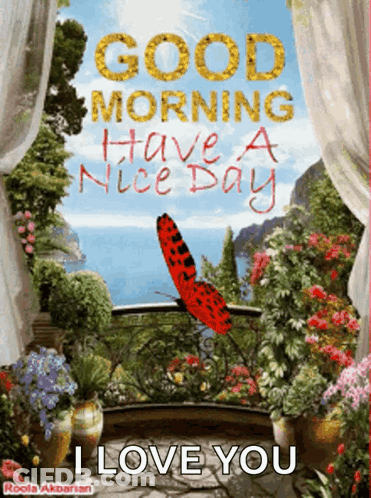 Balcony With Flowers And Butterfly Saying Good Morning GIF