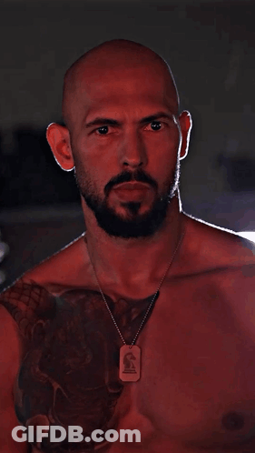 Bald Bearded Man With I Dog Tag GIF