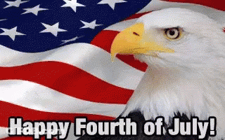 Bald Eagle American Flag Happy Fourth Of July GIF