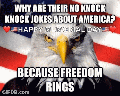 Bald Eagle American Flag Why No Knock Knock Jokes GIF