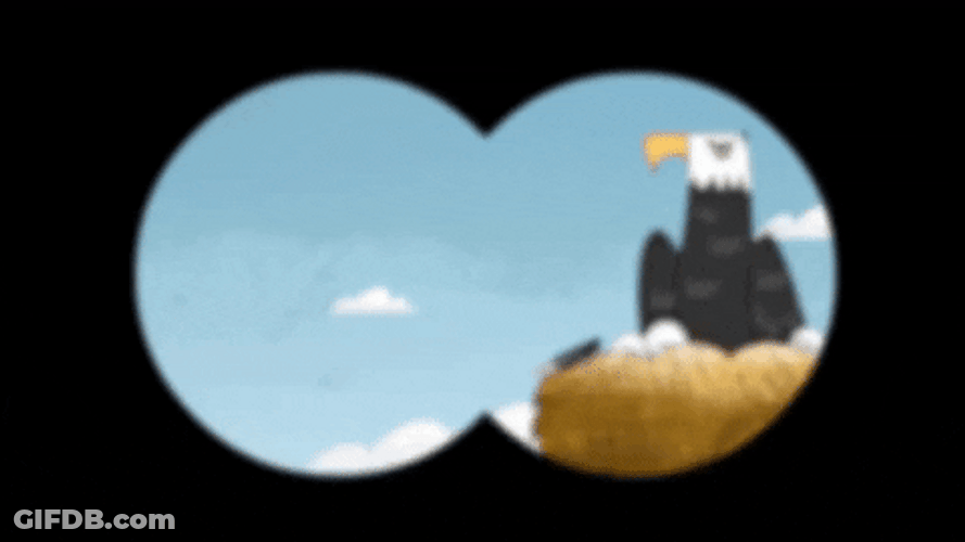 Bald Eagle Binocular GIF