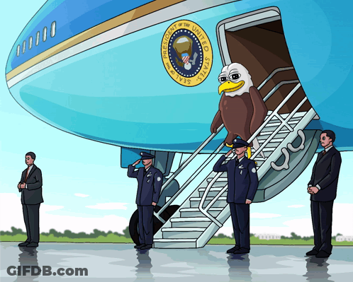 Bald Eagle Boarding United States Air Force One GIF