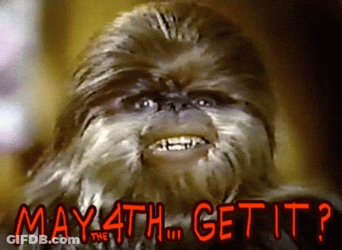 Bald Eagle Face With Go Birds GIF
