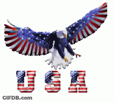 Bald Eagle Flying Above USA GIF