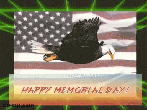 Bald Eagle Flying American Flag Happy Memorial Day GIF