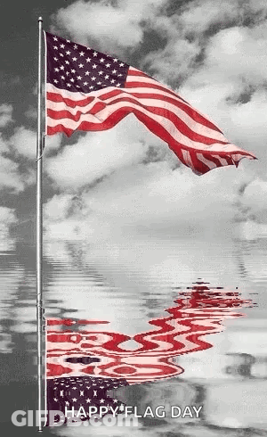 Bald Eagle Flying American Flag Happy Memorial Day GIF