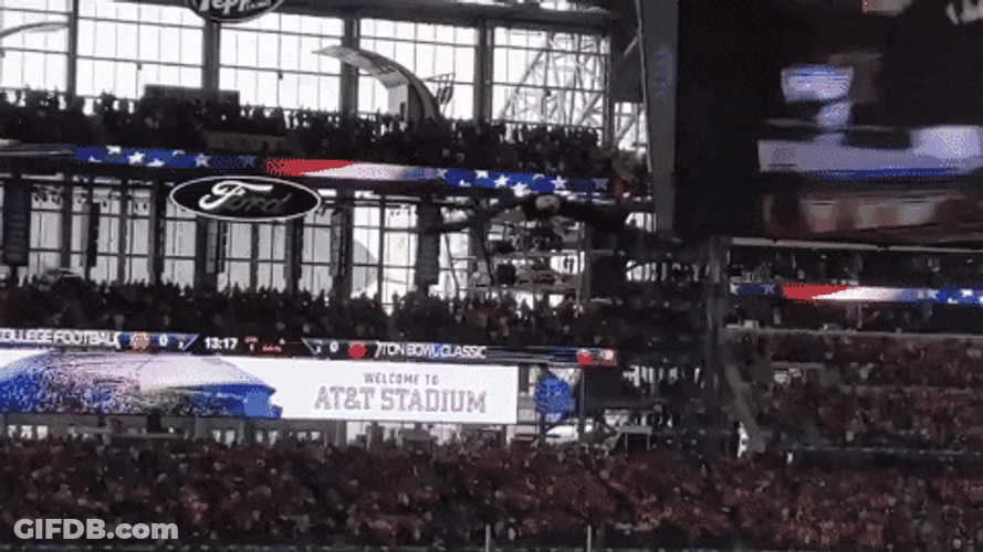 Bald Eagle Flying On Arena GIF