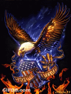Bald Eagle Flying Over American Flag With American Pride GIF
