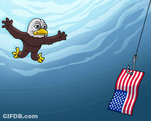 Bald Eagle Flying With American Flag GIF