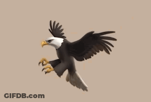Bald Eagle Flying With Spread Wings GIF