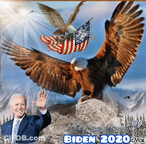 Bald Eagle Holding American Flag 2020 GIF