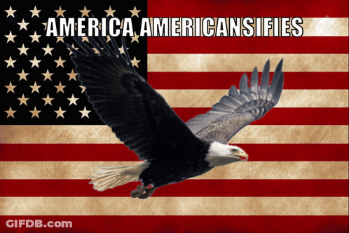 Bald Eagle In Flight With American Flag And America Americansifies GIF