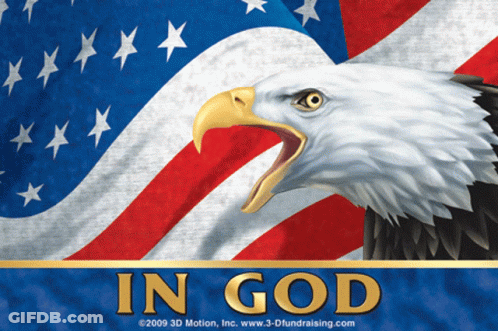 Bald Eagle In Front Of American Flag GIF