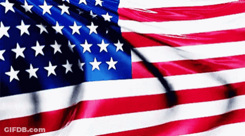 Bald Eagle In Uncle Sam Hat Holding Gun GIF