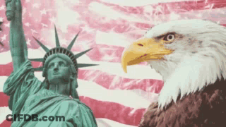 Bald Eagle Next To Statue Of Liberty GIF