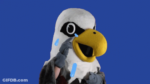 Bald Eagle On Dirt Road Mouth Open GIF
