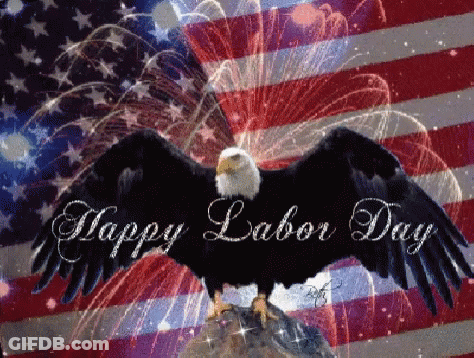Bald Eagle On Rock With American Flag Fireworks Happy Labor Day GIF