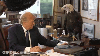 Bald Eagle Perched On Desk Next To Man In Suit GIF
