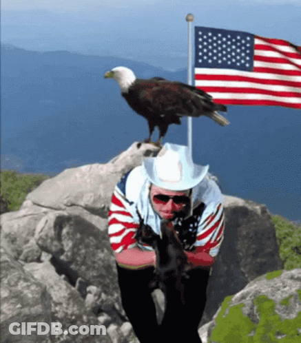 Bald Eagle Perched On Man's Head GIF