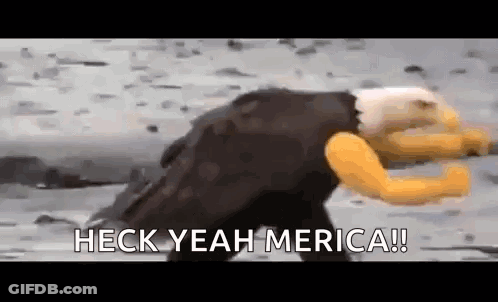 Bald Eagle Running On Beach Heck Yeah Merica GIF
