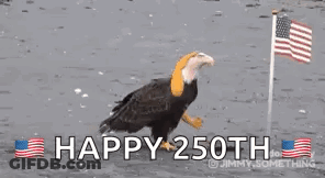 Bald Eagle Saying Happy 250Th GIF