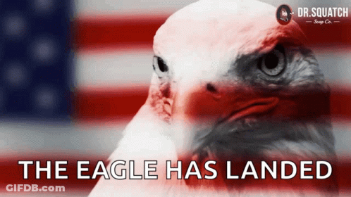 Bald Eagle Saying The Eagle Has Landed GIF
