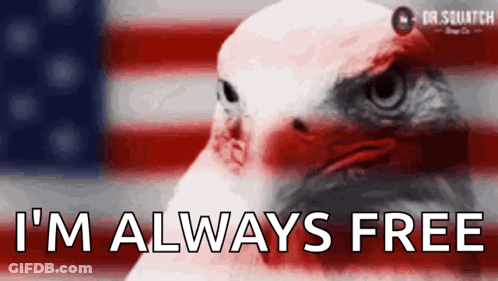 Bald Eagle Says I'm Always Free In Front Of Flag GIF