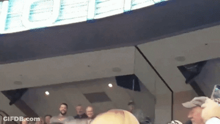 Bald Eagle Show GIF