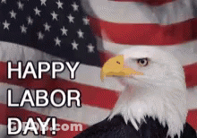 Bald Eagle Sitting In Front Of American Flag Saying Happy Labor Day GIF