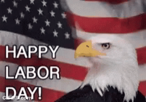 Bald Eagle Sitting In Front Of American Flag Saying Happy Labor Day GIF