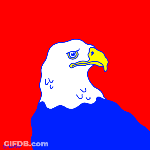 Bald Eagle Snoozing GIF