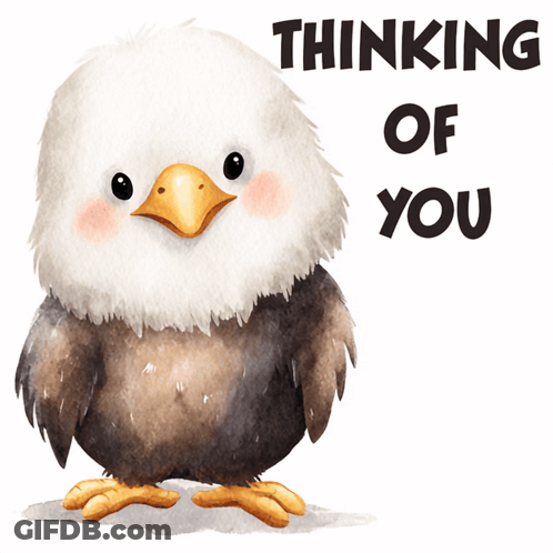 Bald Eagle Thinking Of You GIF