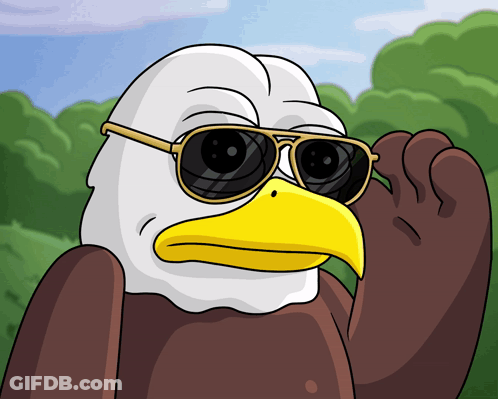 Bald Eagle Wearing Sunglasses Adjusting Glasses GIF