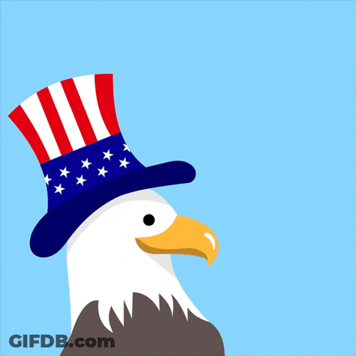 Bald Eagle Wears Hat GIF