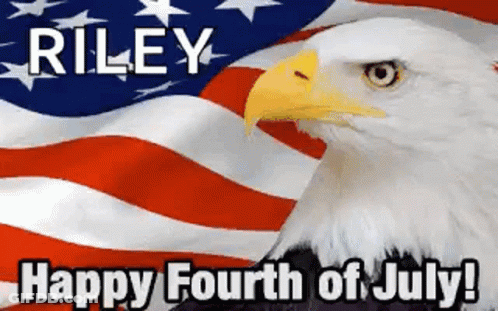 Bald Eagle With American Flag Saying Happy Fourth Of July GIF