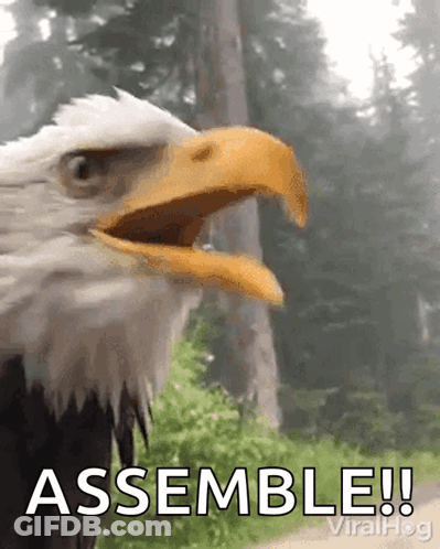 Bald Eagle With Beak Open Assemble GIF