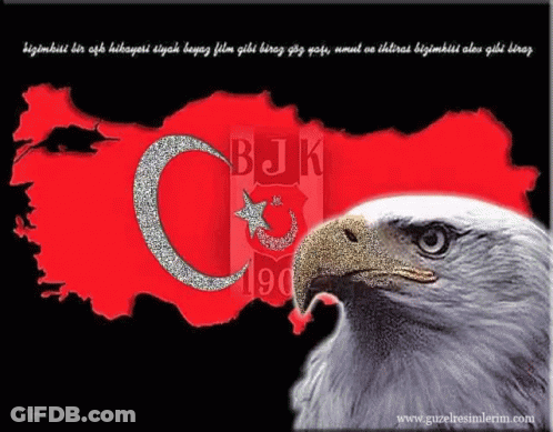 Bald Eagle With BJK Logo GIF