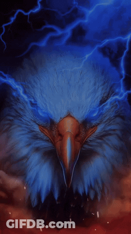 Bald Eagle With Lightning And R Beak GIF