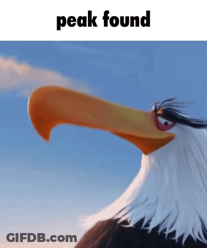 Bald Eagle With Long Beak Saying Peak GIF