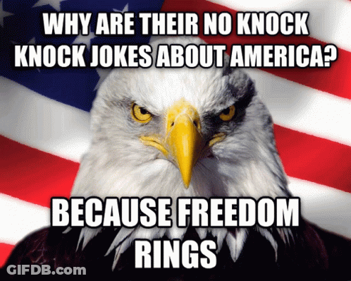 Bald Eagle With Why Are There No Knock Knock Jokes About America Because Freedom Rings GIF
