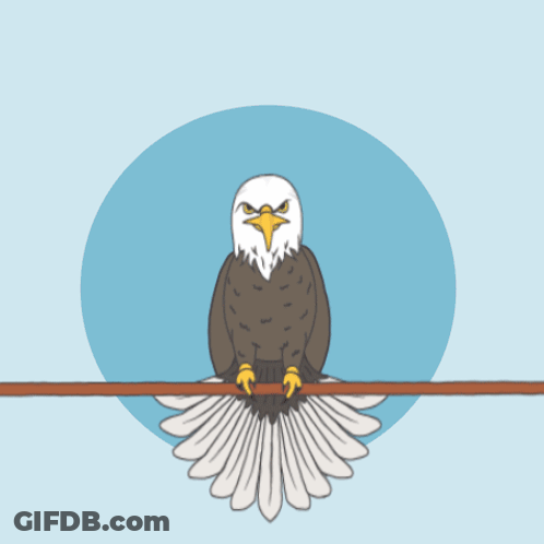 Bald Eagle With Wings Outstretched Memorial GIF