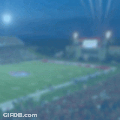 Bald Eagle With Yellow Beak Sitting On Mountain GIF