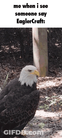 Bald Eagle With Yellow Beak Standing Near Tree GIF